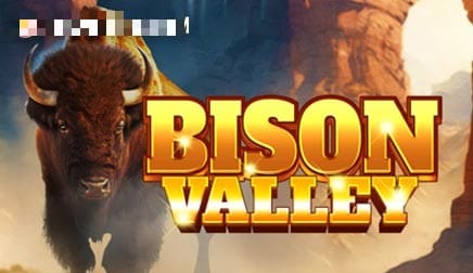 Bison Valley